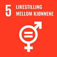 5. Likestilling mellom kjønnene